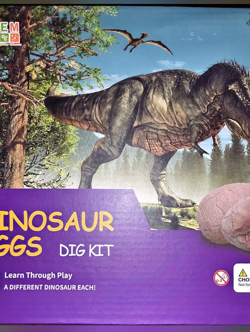 STEM Dinosaur Eggs Dig Kit 10 Eggs Educational Learn Through Play Toy Set